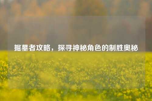掘墓者攻略，探寻神秘角色的制胜奥秘
