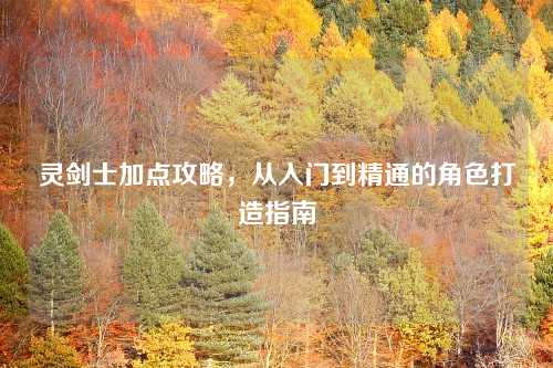 灵剑士加点攻略，从入门到精通的角色打造指南