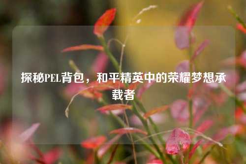 探秘PEL背包，和平精英中的荣耀梦想承载者