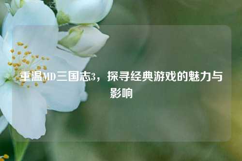 重温MD三国志3，探寻经典游戏的魅力与影响
