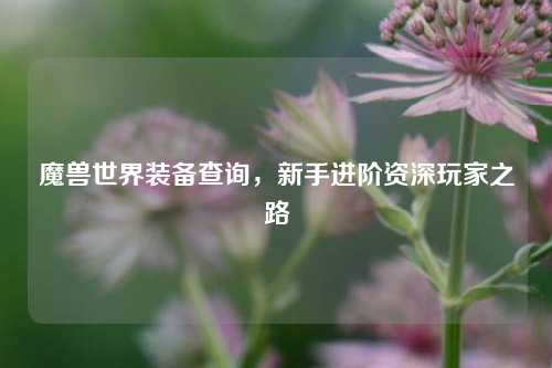 魔兽世界装备查询，新手进阶资深玩家之路