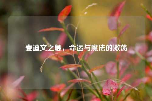 麦迪文之触，命运与魔法的激荡