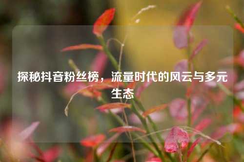 探秘抖音粉丝榜，流量时代的风云与多元生态