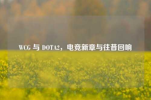 WCG 与 DOTA2，电竞新章与往昔回响