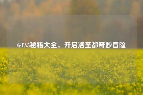 GTA5秘籍大全，开启洛圣都奇妙冒险