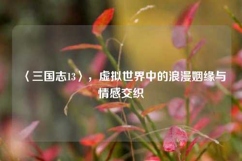 〈三国志13〉，虚拟世界中的浪漫姻缘与情感交织