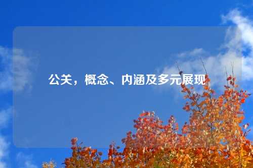 公关，概念、内涵及多元展现