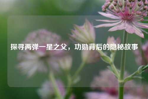 探寻两弹一星之父，功勋背后的隐秘故事