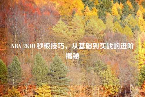 NBA 2KOL秒板技巧，从基础到实战的进阶揭秘