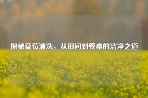 探秘草莓清洗，从田间到餐桌的洁净之道