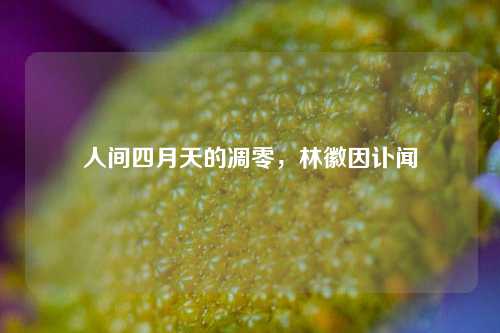 人间四月天的凋零，林徽因讣闻