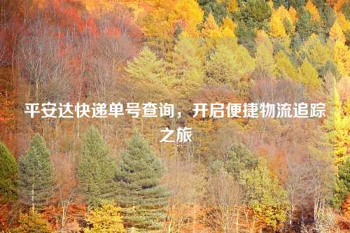 平安达快递单号查询，开启便捷物流追踪之旅