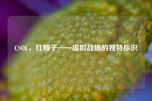 CSOL，红帽子——虚拟战场的独特标识