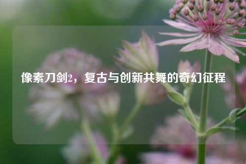 像素刀剑2，复古与创新共舞的奇幻征程