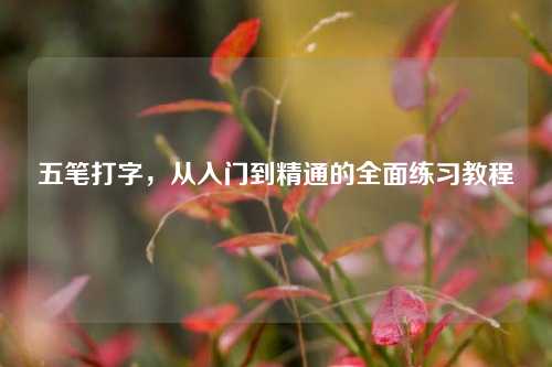 五笔打字，从入门到精通的全面练习教程