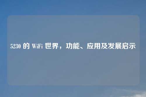 5230 的 WiFi 世界，功能、应用及发展启示