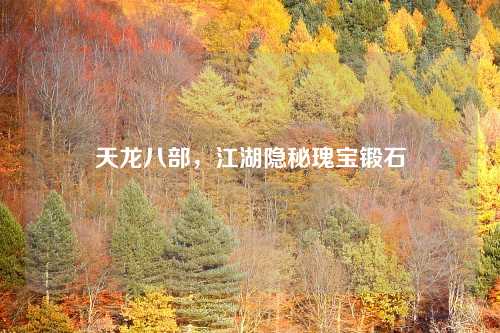 天龙八部，江湖隐秘瑰宝锻石