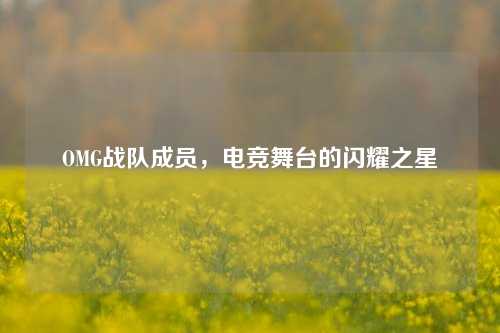 OMG战队成员，电竞舞台的闪耀之星