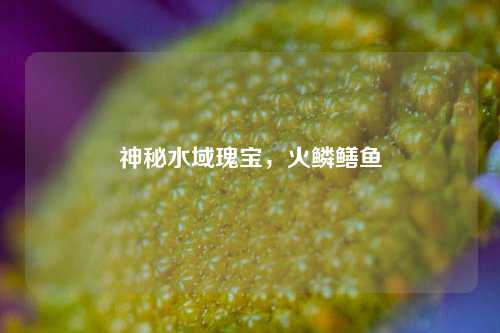 神秘水域瑰宝，火鳞鳝鱼