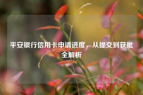 平安银行信用卡申请进度，从提交到获批全解析