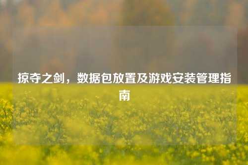 掠夺之剑，数据包放置及游戏安装管理指南