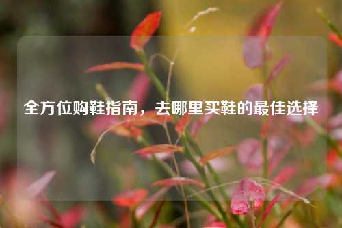 全方位购鞋指南，去哪里买鞋的最佳选择