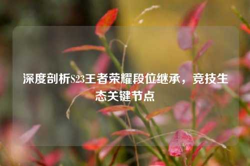 深度剖析S23王者荣耀段位继承，竞技生态关键节点
