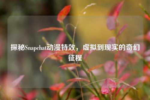 探秘Snapchat动漫特效，虚拟到现实的奇幻征程