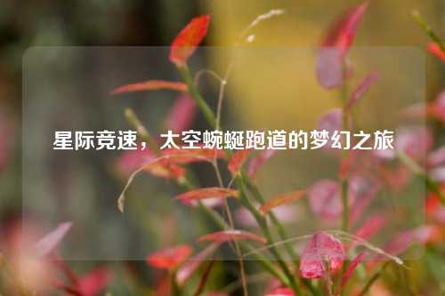 星际竞速，太空蜿蜒跑道的梦幻之旅