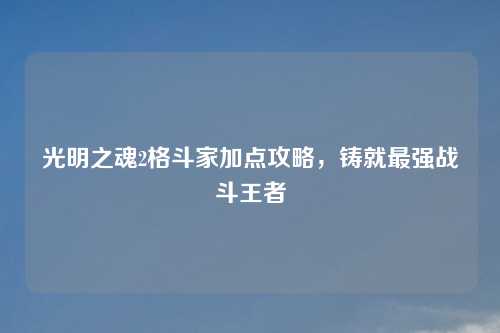 光明之魂2格斗家加点攻略，铸就最强战斗王者