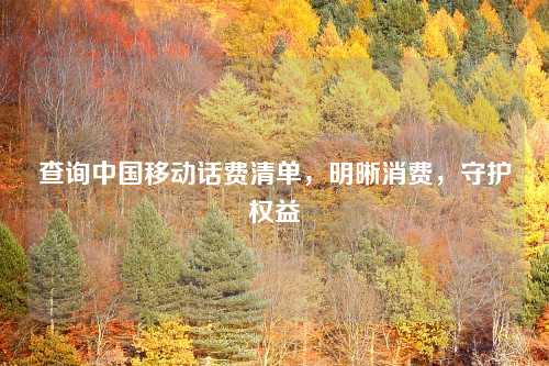 查询中国移动话费清单，明晰消费，守护权益