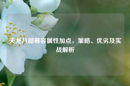 天龙八部慕容属性加点，策略、优劣及实战解析