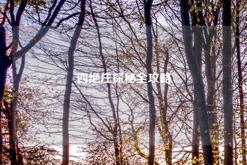 四绝庄探秘全攻略