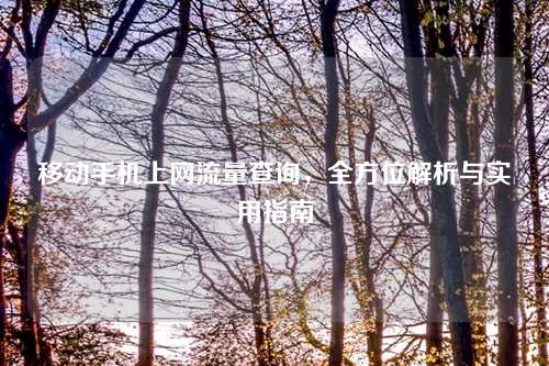 移动手机上网流量查询，全方位解析与实用指南
