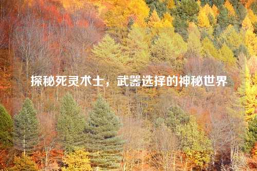 探秘死灵术士，武器选择的神秘世界