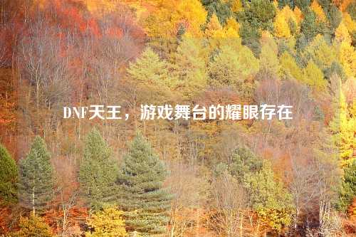 DNF天王，游戏舞台的耀眼存在