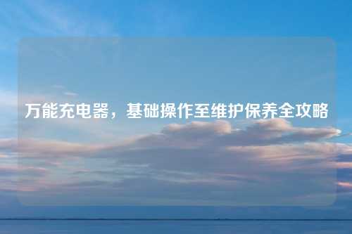 万能充电器，基础操作至维护保养全攻略