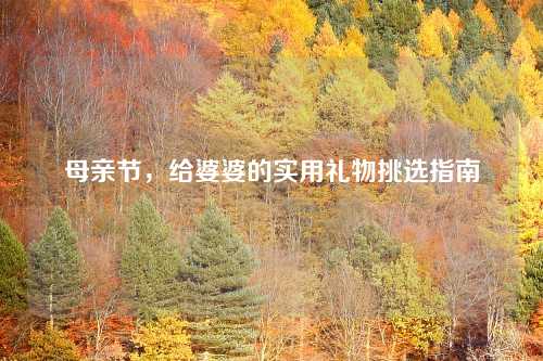 母亲节，给婆婆的实用礼物挑选指南