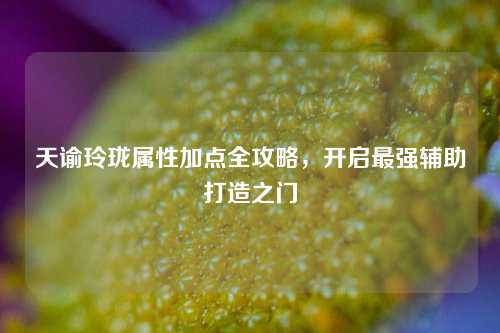 天谕玲珑属性加点全攻略，开启最强辅助打造之门