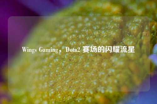 Wings Gaming，Dota2 赛场的闪耀流星