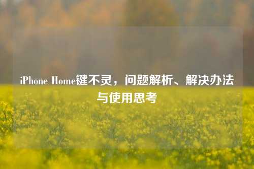 iPhone Home键不灵，问题解析、解决办法与使用思考