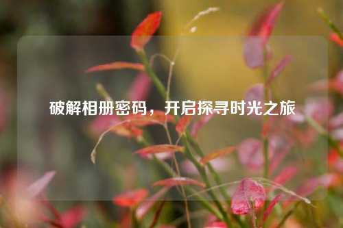 破解相册密码，开启探寻时光之旅