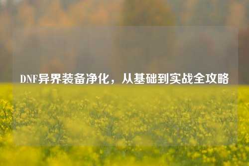 DNF异界装备净化，从基础到实战全攻略