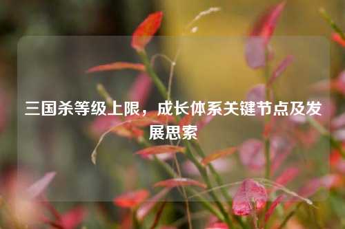 三国杀等级上限，成长体系关键节点及发展思索