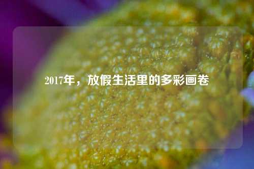 2017年，放假生活里的多彩画卷
