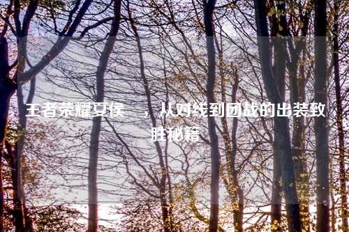 王者荣耀夏侯惇，从对线到团战的出装致胜秘籍