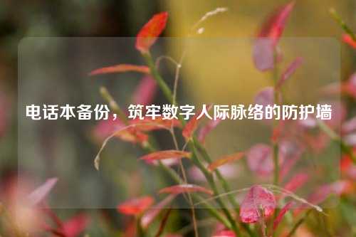 电话本备份，筑牢数字人际脉络的防护墙