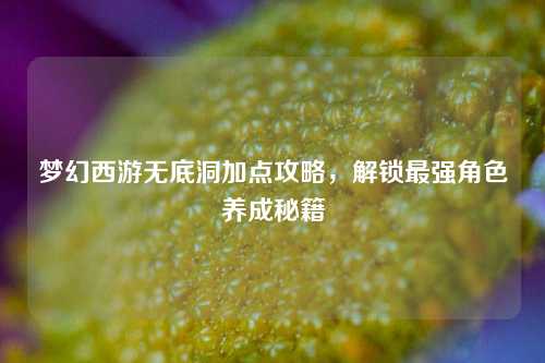 梦幻西游无底洞加点攻略，解锁最强角色养成秘籍