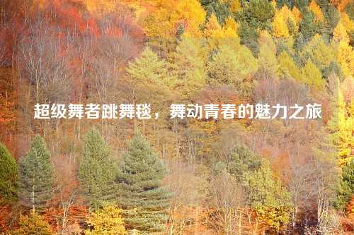 超级舞者跳舞毯，舞动青春的魅力之旅