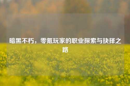 暗黑不朽，零氪玩家的职业探索与抉择之路